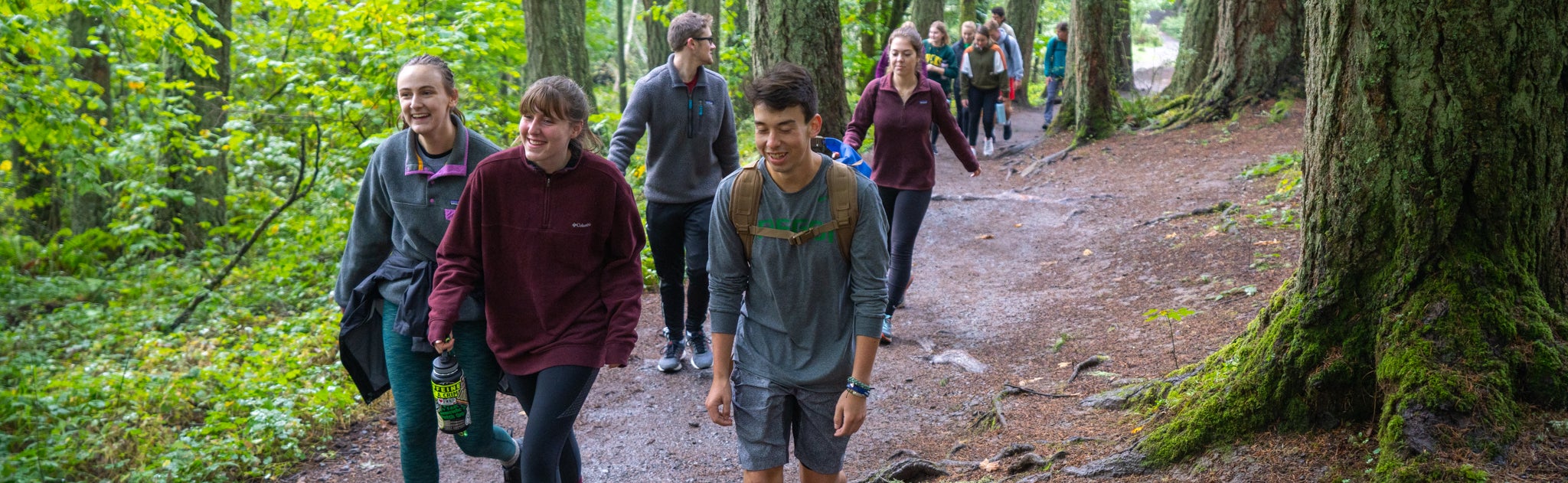 A group hiking through a forest of moss-covered evergreen trees