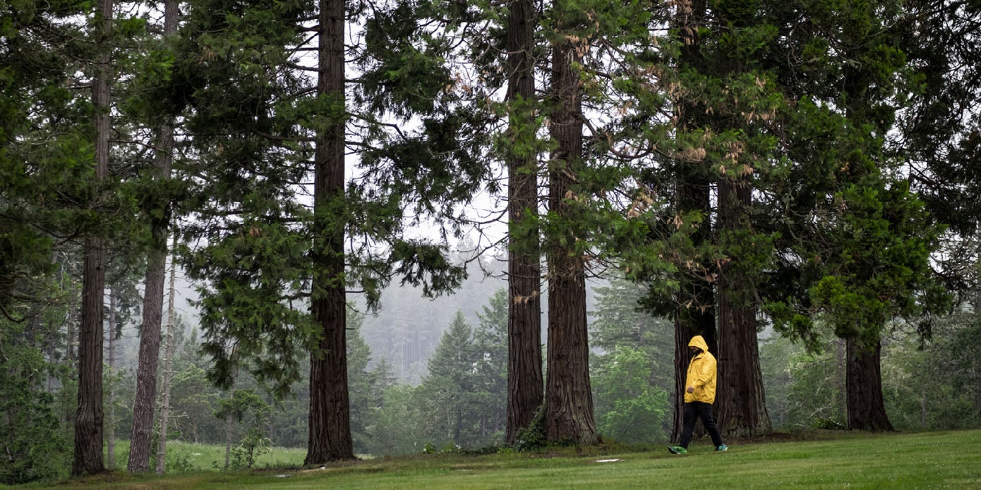 Student hiking along Eugene's forested Ridgeline Trail on a foggy day.