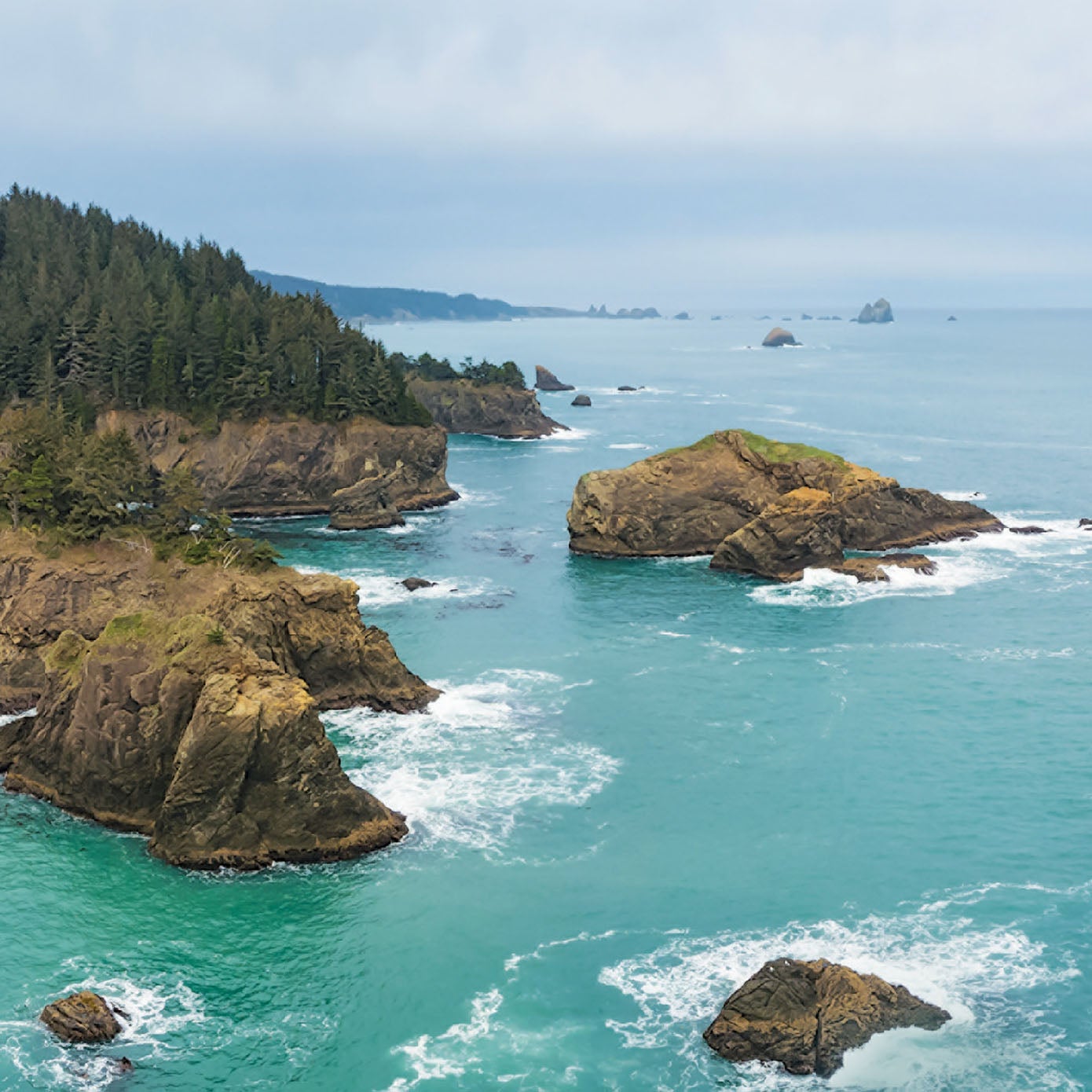 The rocky Oregon coast on a foggy day. 