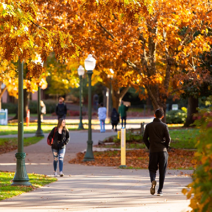 Students walking through a fall foliage-lined sidewalk on campus on a crisp fall day.