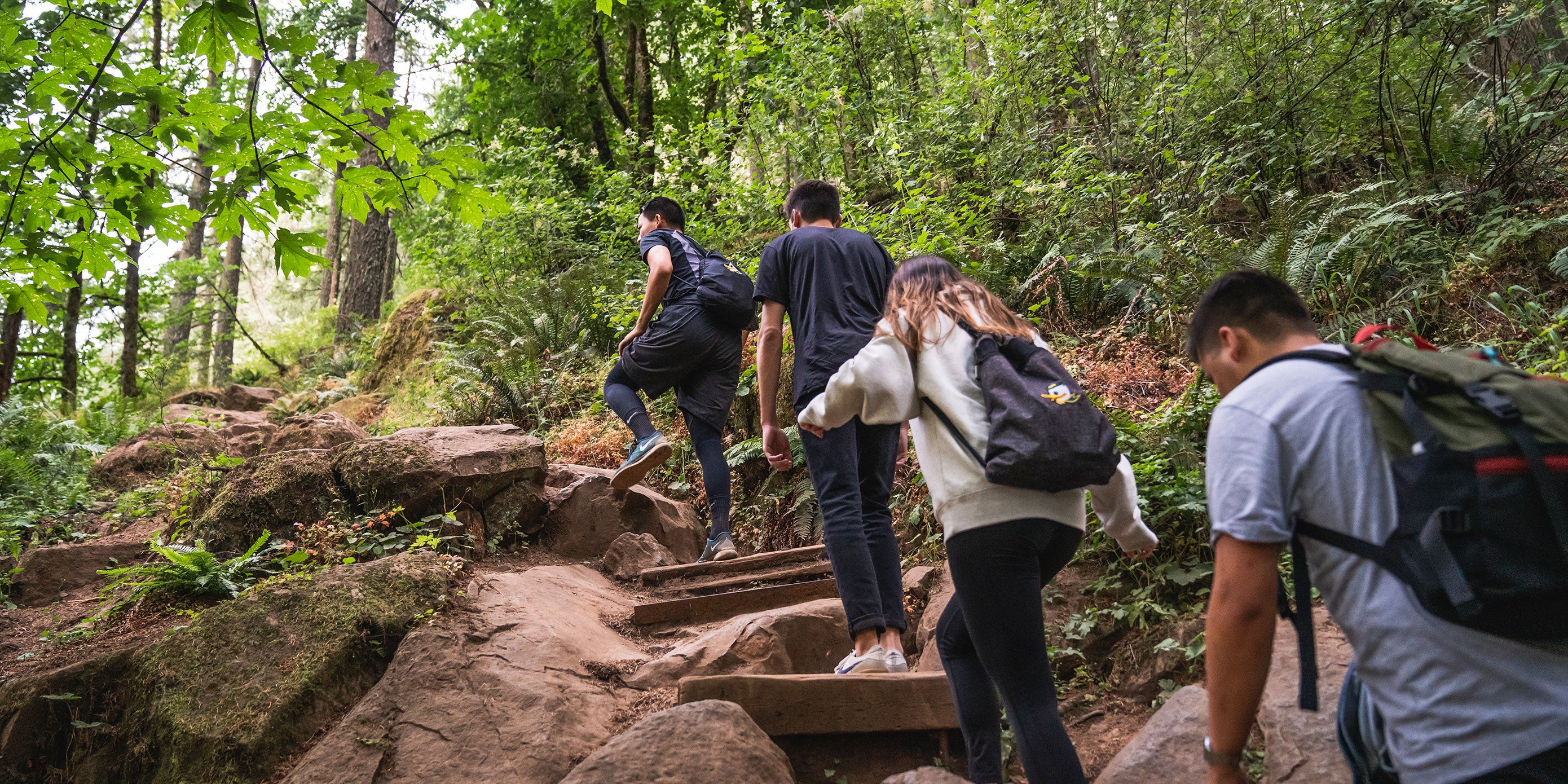 Student hiking along Eugene's forested Ridgeline Trail on a foggy day.