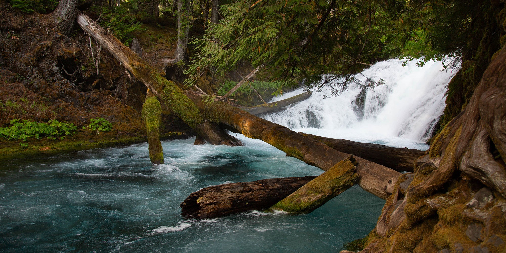 Green trees and lush, mossy-covered rocks frame Sahalie Falls, a popular hike about an hour east of Eugene on the McKenzie River.