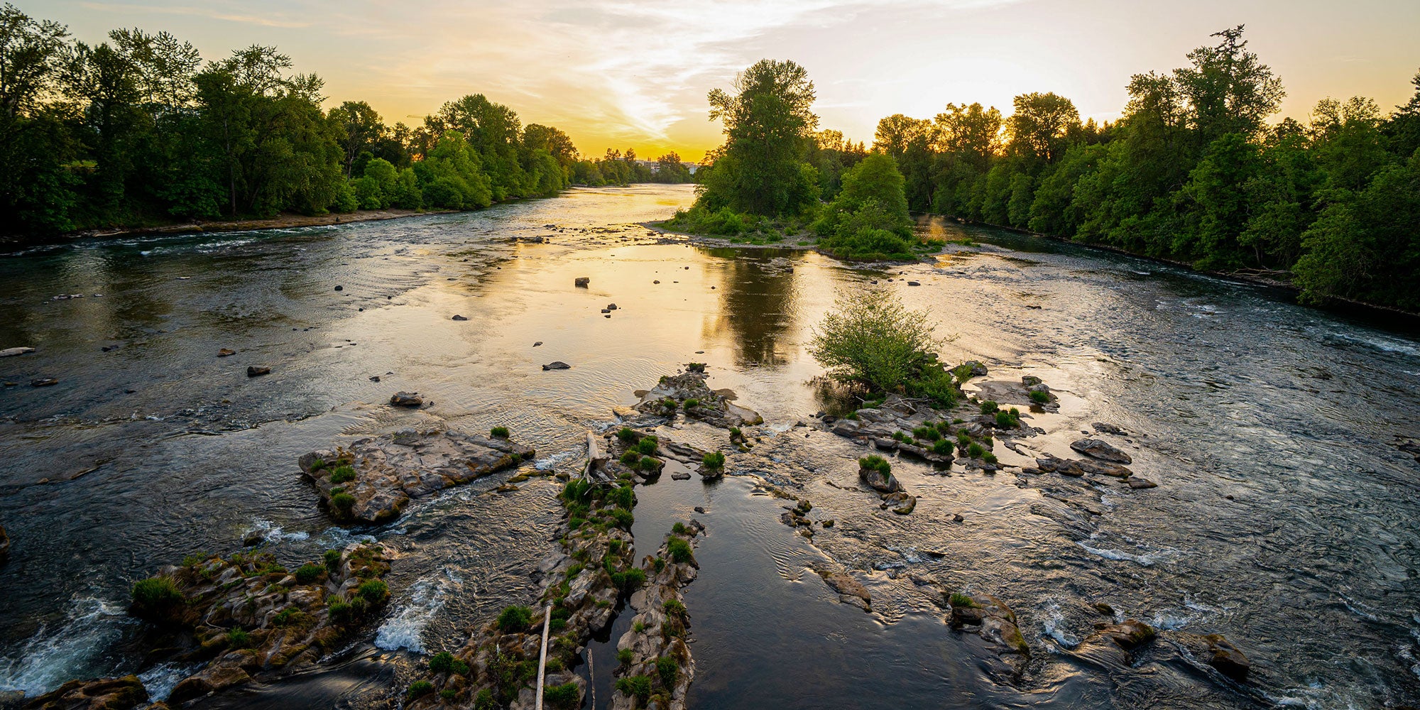 Looking towards the sunset from the middle of a large river surrounded by forest.